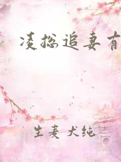 凌总追妻有点甜