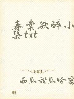春棠欲醉小说全集txt
