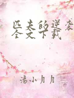 匹夫的逆袭小说全文下载