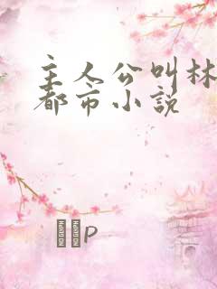 主人公叫林默的都市小说