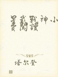 星武战神小说免费阅读