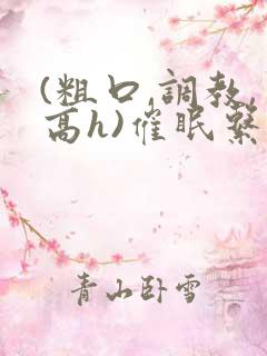 (粗口,调教,高h)催眠系统
