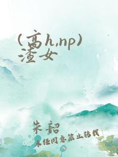 (高h,np)渣女