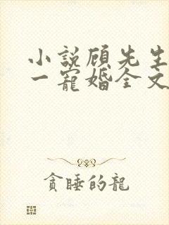 小说顾先生的第一宠婚全文阅读