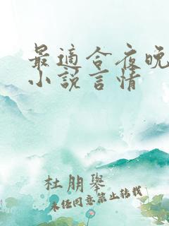 最适合夜晚看的小说言情