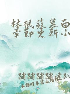 林枫苏慕白最新章节更新小说