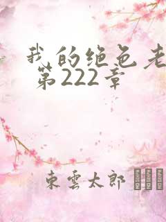 我的绝色老板娘 第222章