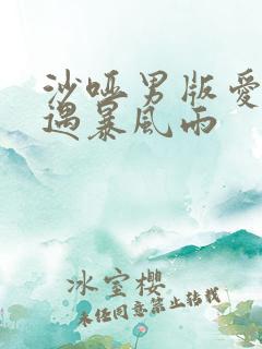 沙哑男版爱情常遇暴风雨