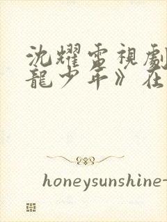 沈耀电视剧《鸣龙少年》在线观看
