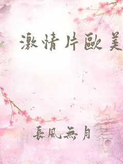 激情片欧美一区