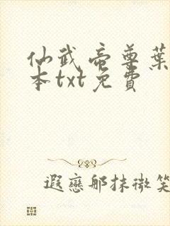 仙武帝尊叶辰全本txt免费