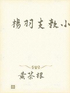 杨羽支教小说