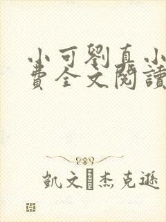 小可刘真小说免费全文阅读