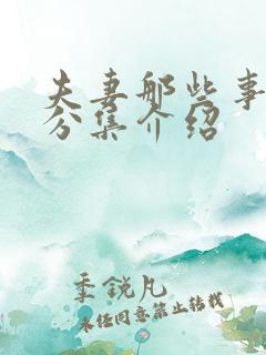 夫妻那些事剧情分集介绍