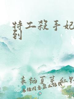 特工杀手妃来驾到
