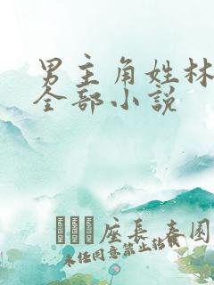 男主角姓林辰的全部小说