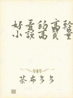 好看的高干言情小说高质量文笔好
