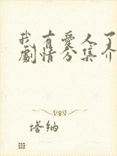 我有爱人了韩剧剧情分集介绍