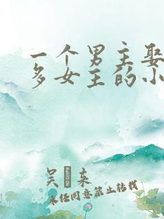 一个男主娶了很多女主的小说