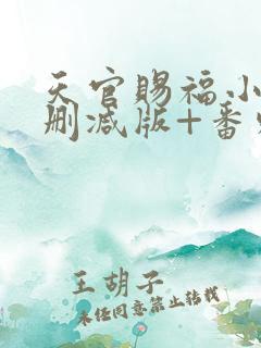 天官赐福小说无删减版+番外