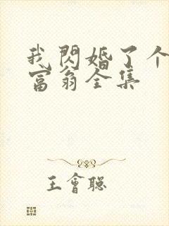 我闪婚了个亿万富翁全集
