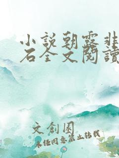 小说朝露非木非石全文阅读
