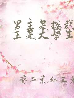 男主是总裁,女主是大学生的总裁文