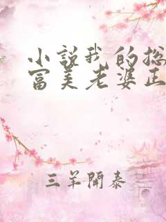 小说我的总裁白富美老婆正版免费