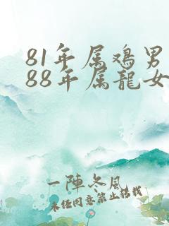 81年属鸡男和88年属龙女婚姻合吗