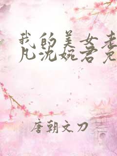我的美女老婆叶凡沈婉君免费阅读全文