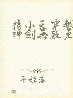 杨小天穿越小说神剑无敌免费阅读