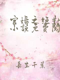 官场之绝对权力小说免费阅读
