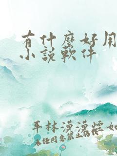 有什么好用的看小说软件