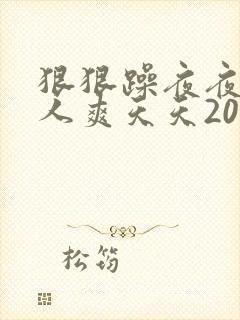 狠狠躁夜夜躁人人爽天天2021…