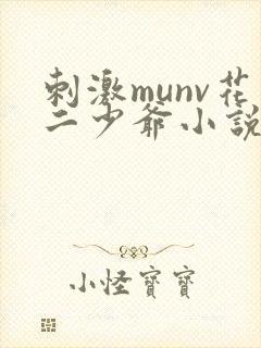 刺激munv花二少爷小说