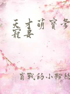 天才萌宝爹地超宠妻