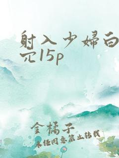 射入少妇白洁的穴15p