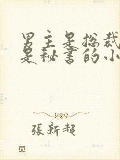 男主是总裁女主是秘书的小说推荐
