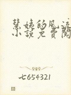 慧姨的风流人生小说免费阅读
