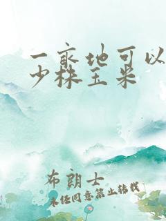 一亩地可以种多少株玉米