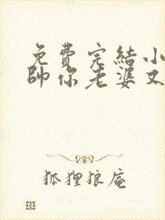 免费完结小说少帅你老婆又跑了