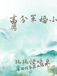 高分军婚小说推荐
