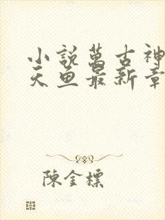 小说万古神帝飞天鱼最新章节列表最