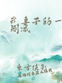 我妻子的一切无删减
