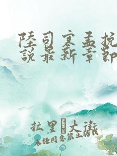 陆司寒孟挽意小说最新章节免费阅读
