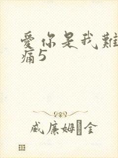 爱你是我难言的痛5