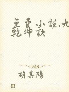 免费小说,九龙乾坤诀