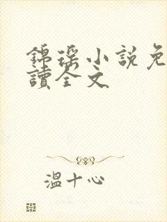 锦瑶小说免费阅读全文
