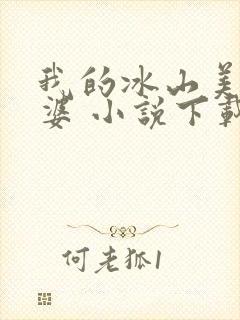 我的冰山美女老婆 小说下载