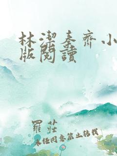 林洁秦齐小说正版阅读